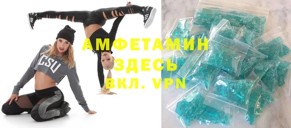 прущие грибы Абинск