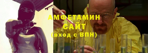 прущие грибы Абинск