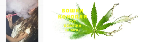 прущие грибы Абинск
